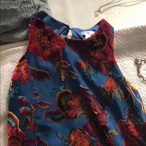 Beautiful Vintage-y dress from Target.